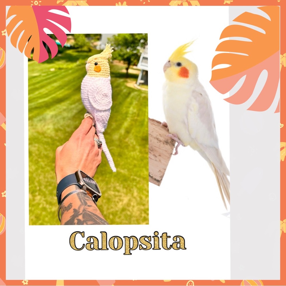 Calopsita Bird • Realistic Design Buddy Home Decor - Brand New